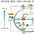 감귤부산물의 건조 효율 높여 기능성분 추출 기술 개발